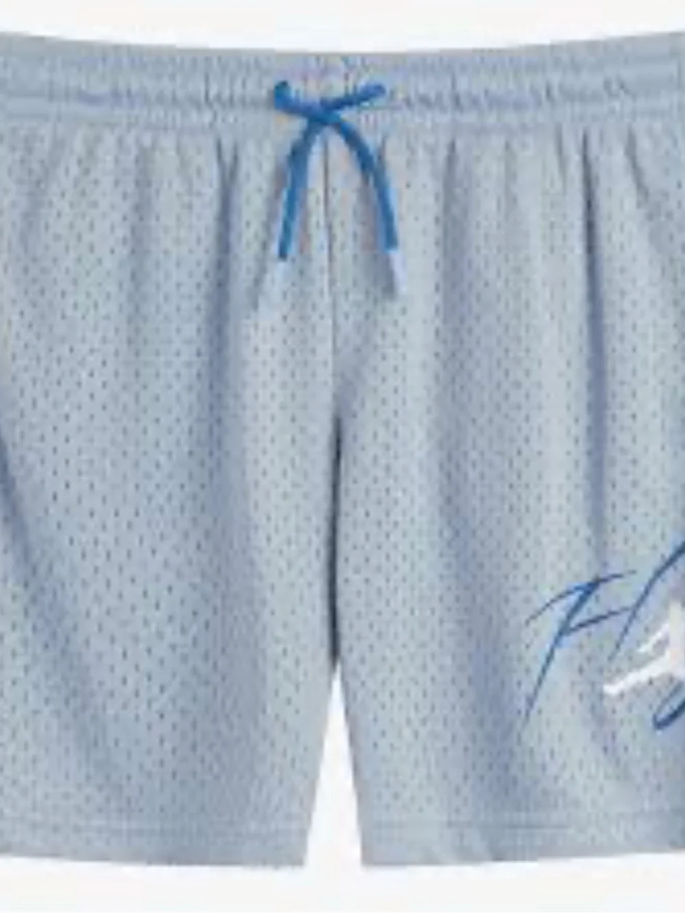 Jordan Off-Court Flight Shorts -Brand New With Tags